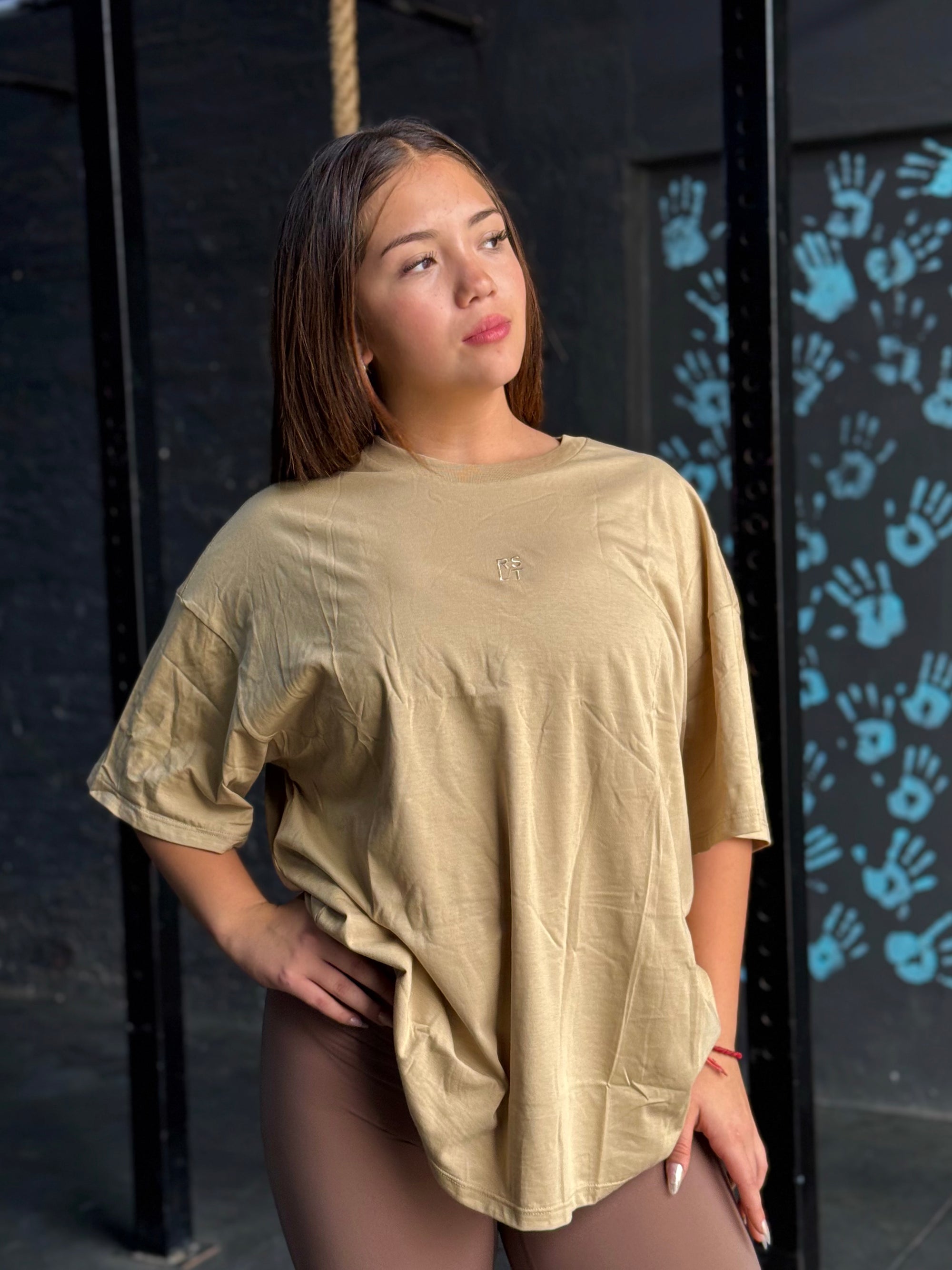 Oversize Shirt • Small Wins Every Day